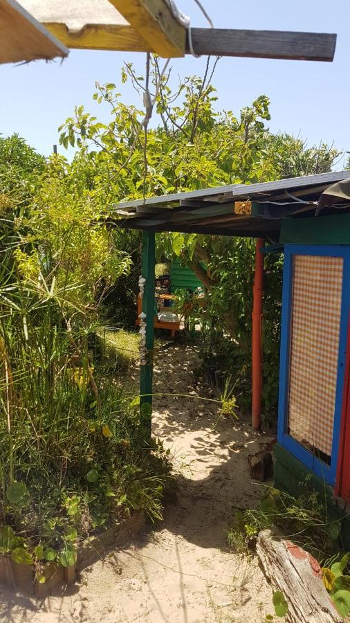 Ajo Aloha Hostel Cabo Polonio Εξωτερικό φωτογραφία