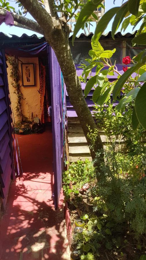 Ajo Aloha Hostel Cabo Polonio Εξωτερικό φωτογραφία